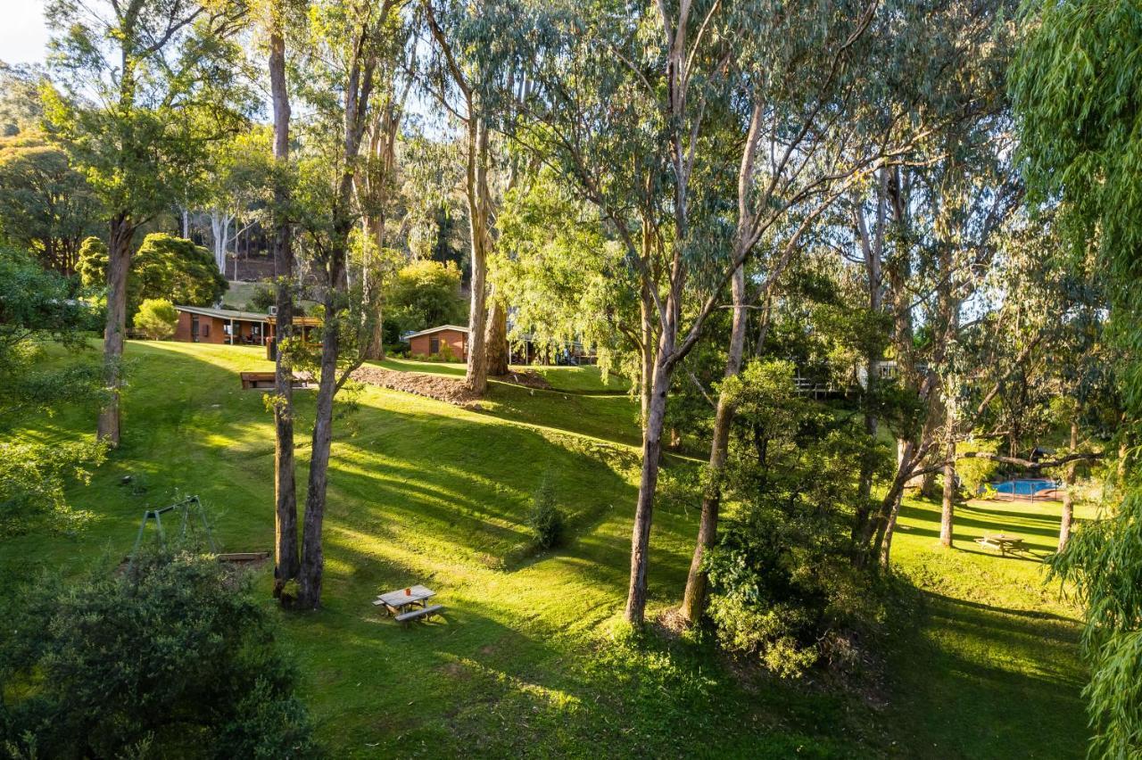 Kiewa Country Cottages Mount Beauty Exteriör bild